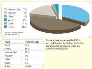 Electricty Sources for PSE