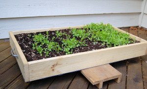 Salad box concept from Organic Gardening magazine