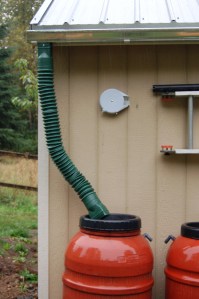 Rain barrels Rain barrels, sort of hooked up