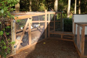 Chicken tunnel and north wing