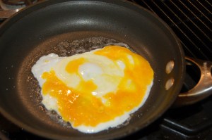 Egg yolk from our chicken egg