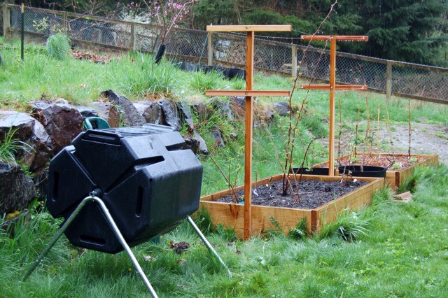 Raspberry beds and composter