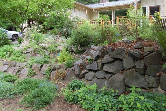 Front yard, terraced and fully planted