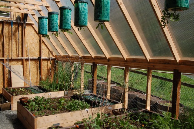 Hanging planters and raised beds