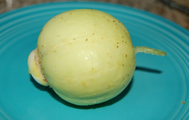 Lemon cucumber