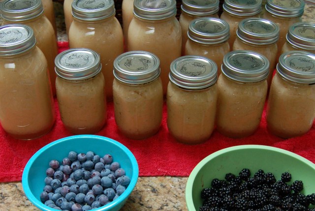 applesauce09 Applesauce, blueberries, and blackberries