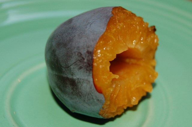 Ripe Italian prune