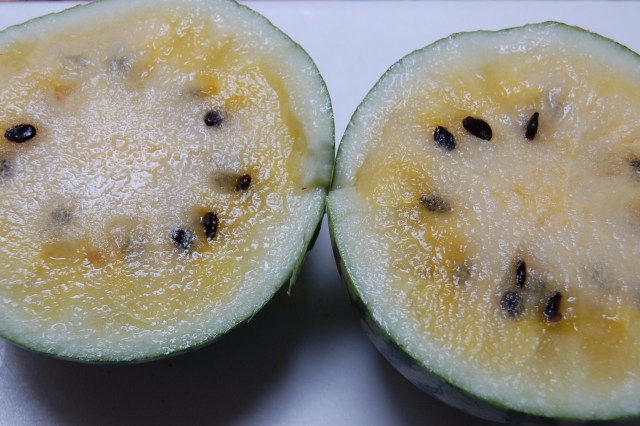 yellowdoll Yellow Doll watermelon