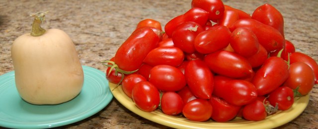 tomatoesinOctober Tomatoes and mini butternut squash
