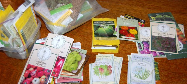Seed packettes