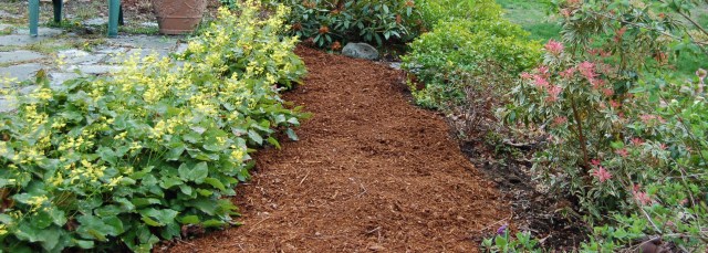 The never ending weeding project, view two