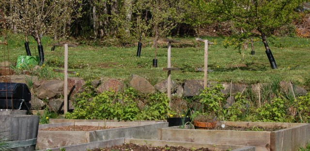 The orchard in April