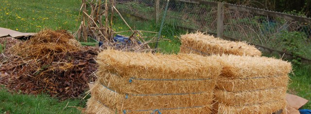 Straw bale garden