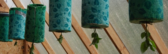 hangingpeppers Pepper plants in hanging planters