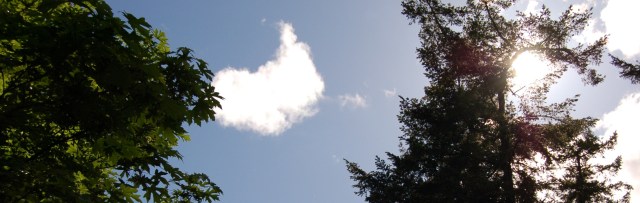 A nice sun break on Memorial Day