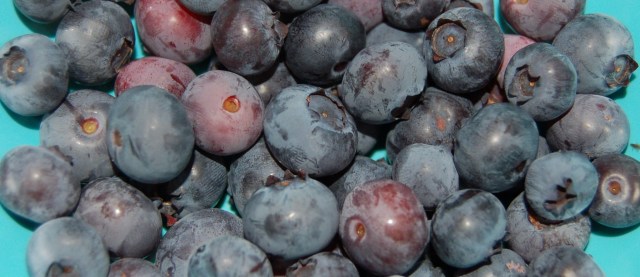 Fresh blueberries
