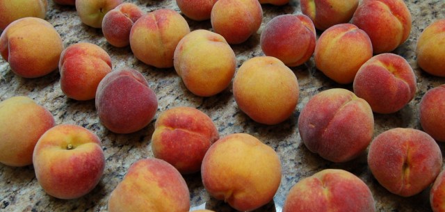 peach8-10 Frost peaches