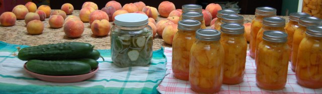 peachescukes Peaches, cukes, and pickles