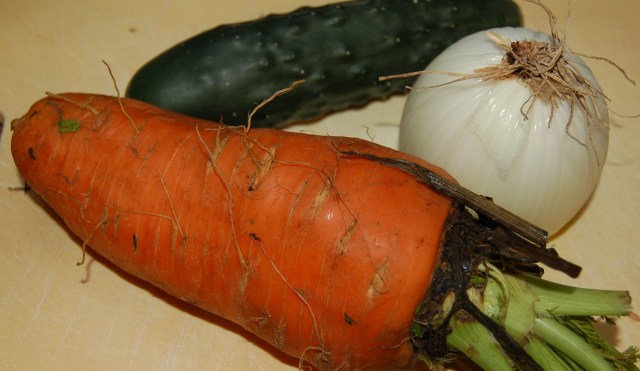 The giant carrot The giant carrot