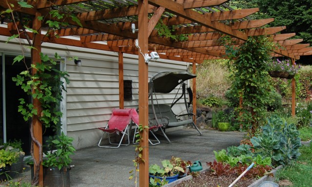 Our south-facing patio