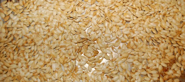 Roasted pumpkin seeds