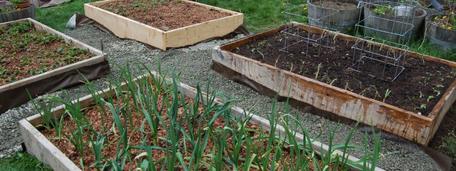 Mole-proofed beds with new paths
