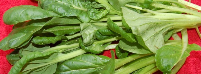 Bok choy for stir fry