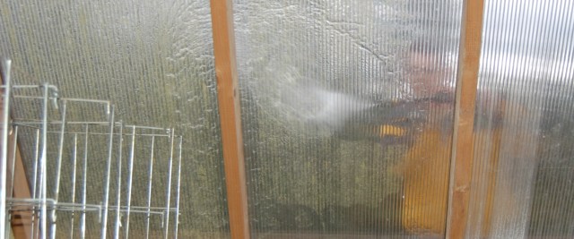 Derek power washing the greenhouse