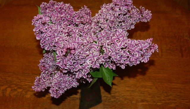 Lilac bouquet