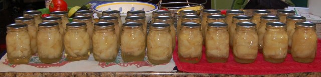 Pint jars of pears