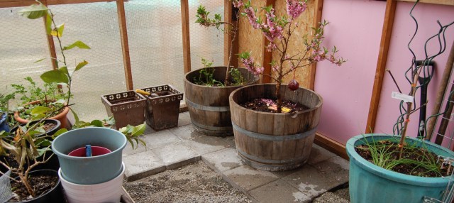 Greenhouse floor Greenhouse floor