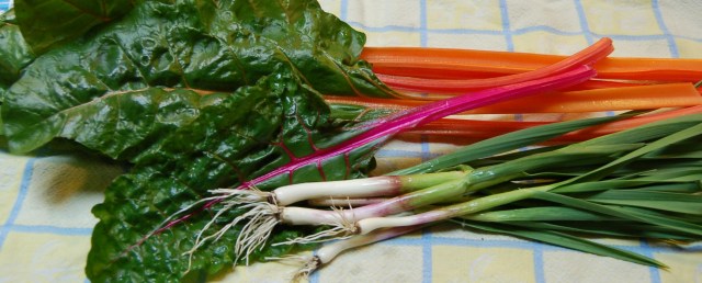 Swiss chard and baby garlic