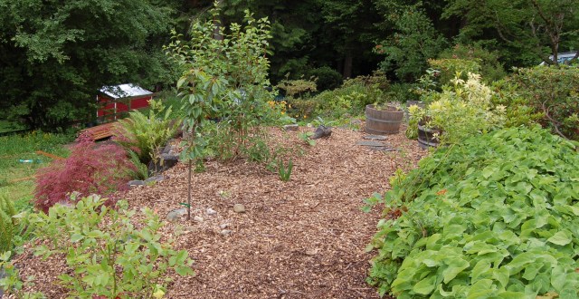 Edible landscaping, mixed planting area