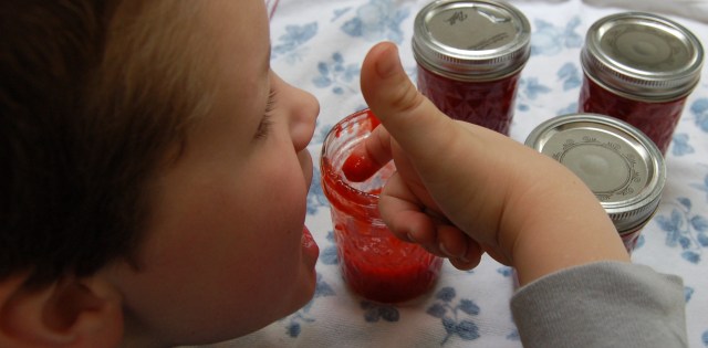 A little bear cub at the jam jar