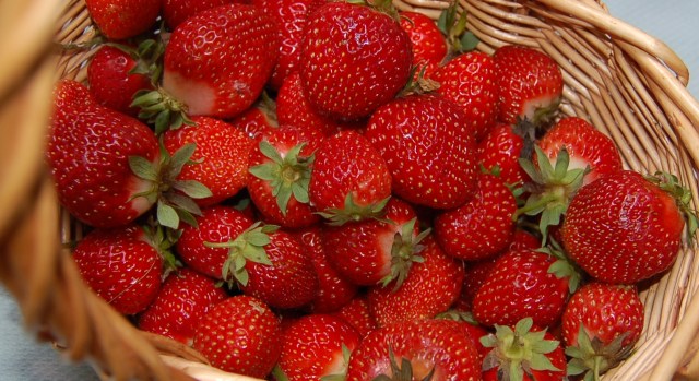 Fresh strawberries