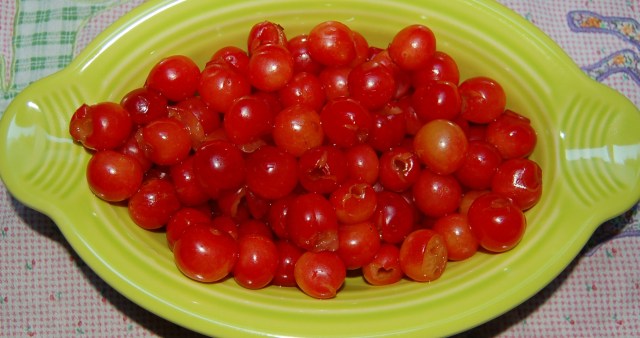 Montmorency pie cherries